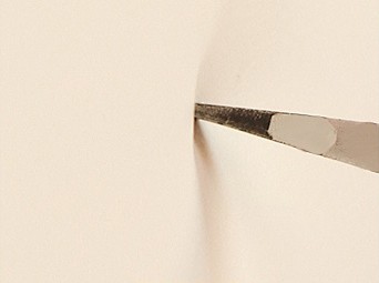 Abrasion-Resistant